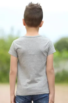 Baskılı Erkek Çocuk T-shirt Gri