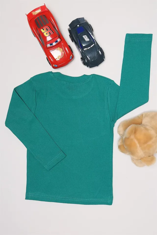 Baskılı Erkek Çocuk Sweatshirt Acık Yeşil